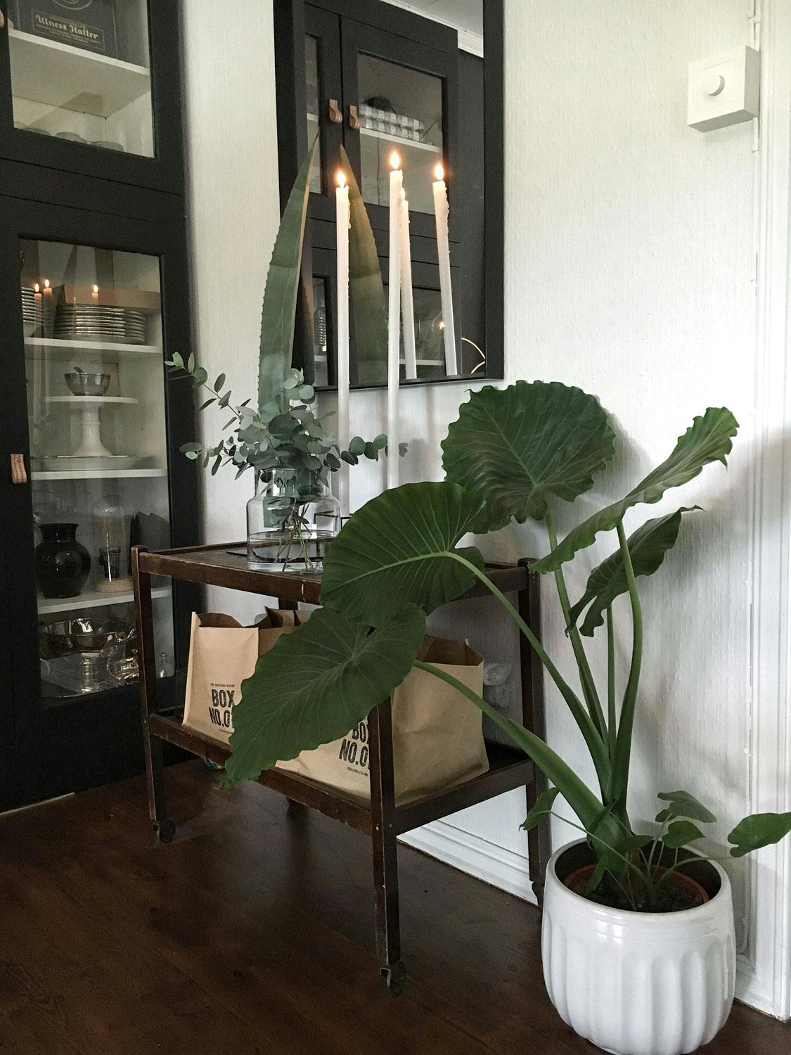 image1 10 f6Kqrd5U9b45mC Svart vitrineskap og konsollbord med grønne planter og tente lys